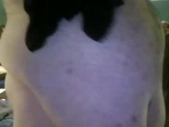 gaydaddy48 webcam chaturbate model stream image