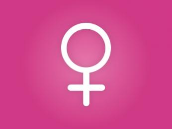 Proyecto8 webcam model stream image