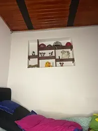 hotwife26 webcam stripchat model stream image