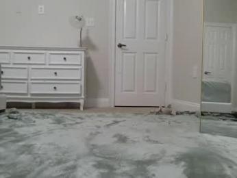 aliii1123 webcam model stream image