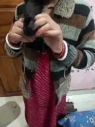 COUPLLE_VILLAGE webcam model stream image