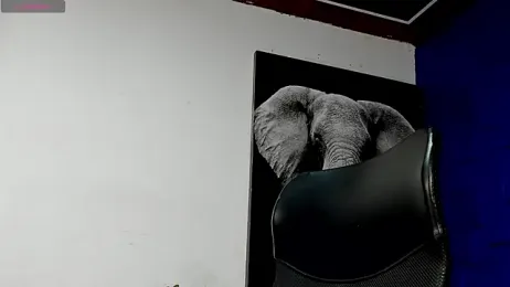 king_falconer webcam model stream image