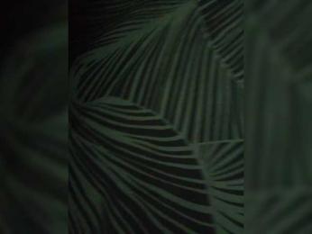 Ice_Ice_Baby webcam bongacams model stream image