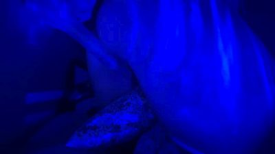 90scherrypop_ webcam cam4 model stream image