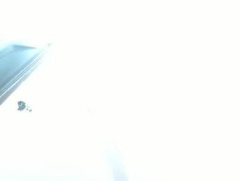 mollyandsam303av webcam model stream image