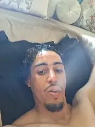 JestingSense webcam model stream image