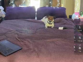 tslexirose webcam model stream image