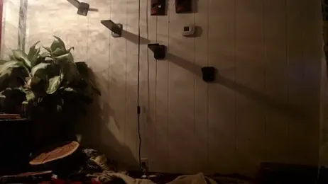 UnCuTupTheBuTT webcam model stream image