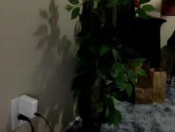 trippybb222 webcam model stream image