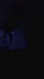 klintt webcam model stream image