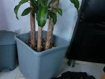 alexander_white13 webcam model stream image