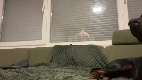 TheJerkingGuy webcam stripchat model stream image