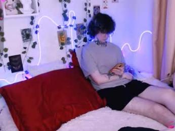 meow_on_da_cam webcam model stream image