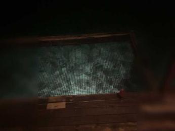 Taanni webcam model stream image