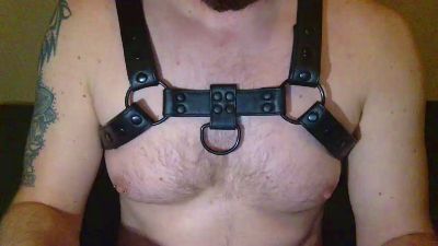 redbearded webcam model stream image