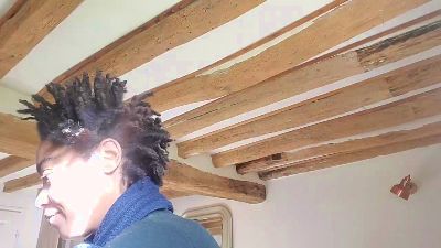 FATISS webcam model stream image