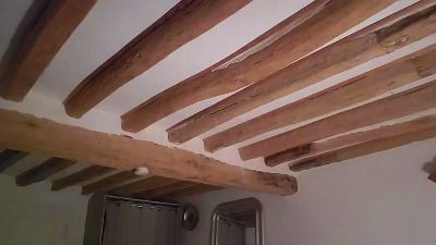 FATISS webcam model stream image