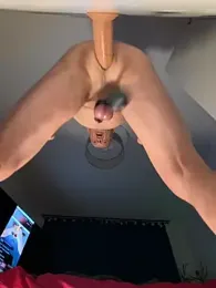 Jaropol webcam model stream image