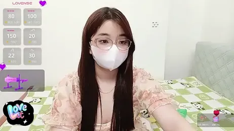 littlecn webcam model stream image