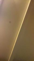 Amperarius webcam model stream image