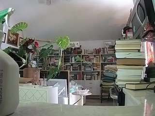 voyeurcam-bridgetleewalters-02 webcam model stream image