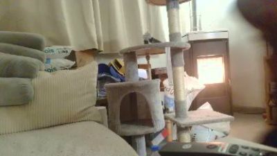 Teamtouch webcam model stream image