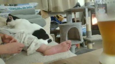 Teamtouch webcam model stream image