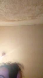 PETITECOCHO webcam model stream image