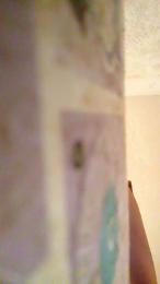 PETITECOCHO webcam model stream image