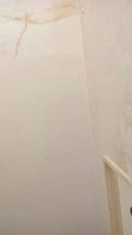 PETITECOCHO webcam model stream image