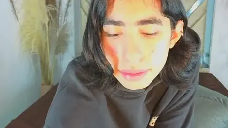 ryo_light webcam model stream image