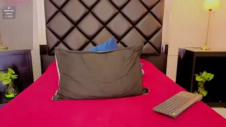 ryo_light webcam model stream image