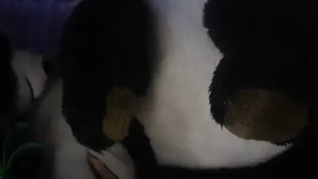 -AyeshaSinghania- webcam model stream image