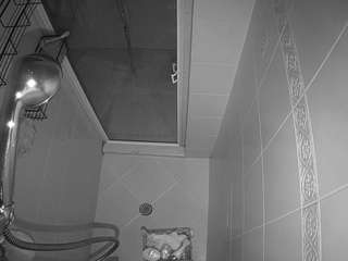 voyeurcam-baileybase-shower webcam model stream image