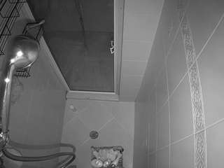voyeurcam-baileybase-shower webcam model stream image