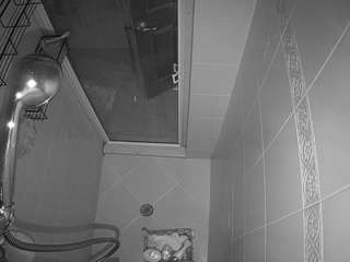 voyeurcam-baileybase-shower webcam model stream image