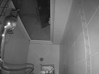 voyeurcam-baileybase-shower webcam model stream image