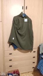 liquify webcam model stream image