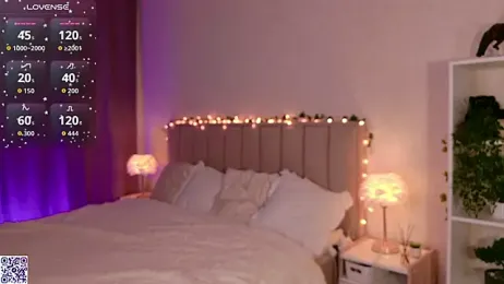 LeraKit webcam model stream image