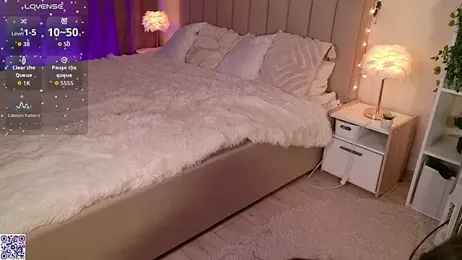 LeraKit webcam model stream image