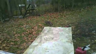 watch4fun4 webcam model stream image