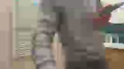 JOREDD webcam model stream image