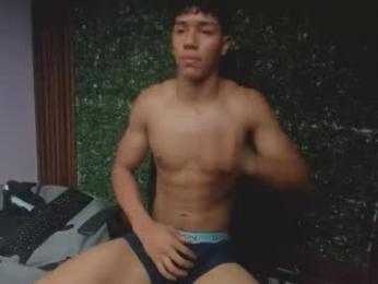 damon_sw webcam model stream image