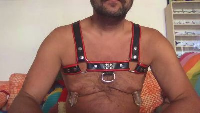 saubear2 webcam model stream image