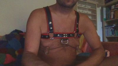 saubear2 webcam model stream image