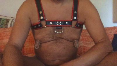 saubear2 webcam model stream image