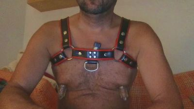 saubear2 webcam cam4 model stream image