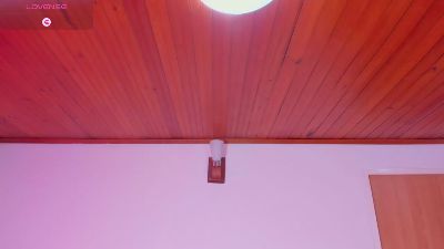 aiime_ webcam model stream image