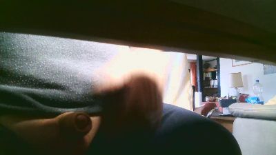 legov4 webcam model stream image