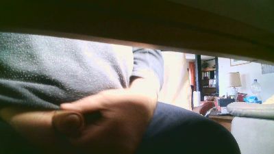 legov4 webcam model stream image